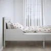 plmebli