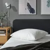 plmebli
