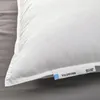 plmebli