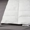 plmebli
