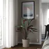 plmebli