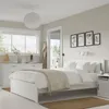 plmebli
