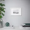 plmebli