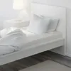 plmebli