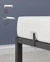 plmebli