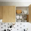 plmebli