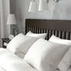 plmebli