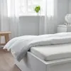 plmebli