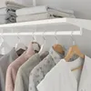 plmebli