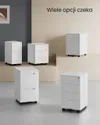 plmebli