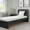 plmebli