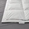 plmebli