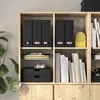 plmebli