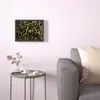 plmebli