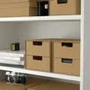 plmebli