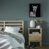 plmebli