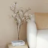 plmebli