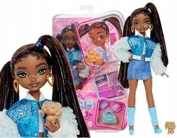Лялька BARBIE DREAM BESTIES Бруклін Модна з аксесуарами HYC22