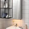 plmebli
