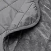 plmebli