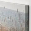 plmebli