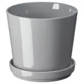 IKEA CITRUSFRUKT (205.084.32)