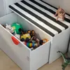 plmebli