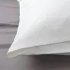 plmebli