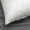 plmebli