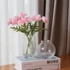 plmebli