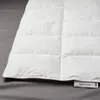 plmebli