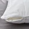 plmebli