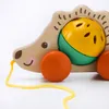 plmebli
