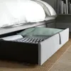 plmebli