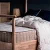 plmebli