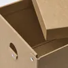 plmebli