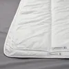plmebli