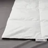 plmebli