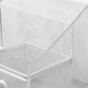 plmebli
