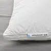 plmebli