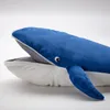 plmebli