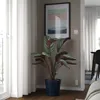 plmebli