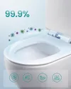 plmebli