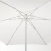 plmebli