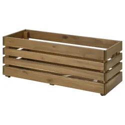 IKEA STJÄRNANIS(105.847.75) квітка, Зовнішня акація