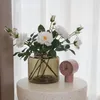 plmebli
