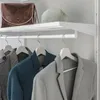plmebli