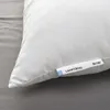 plmebli