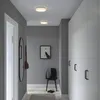 plmebli