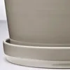 plmebli